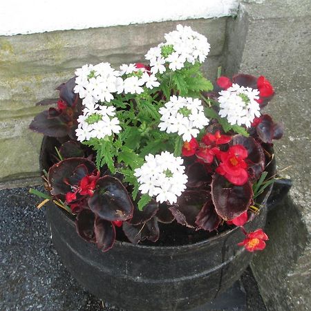Castle View B&B Freshford Exterior foto