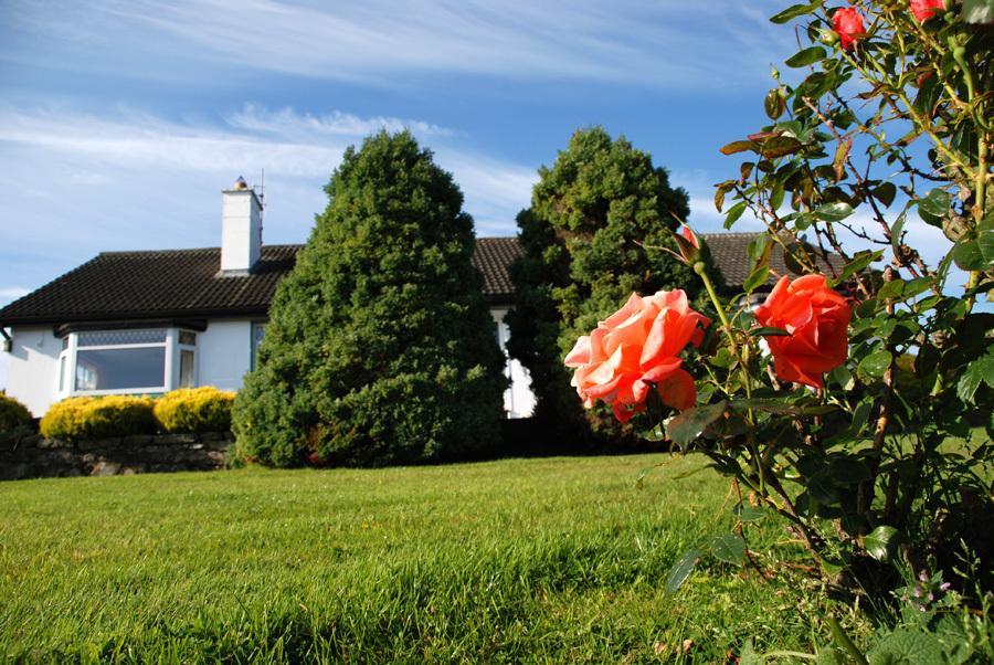 Castle View B&B Freshford Exterior foto